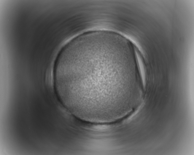 X0000088630982200706011141