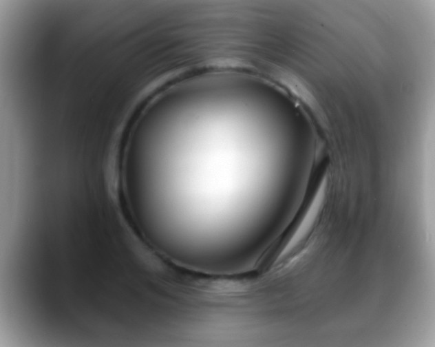 X0000088630984200706011141