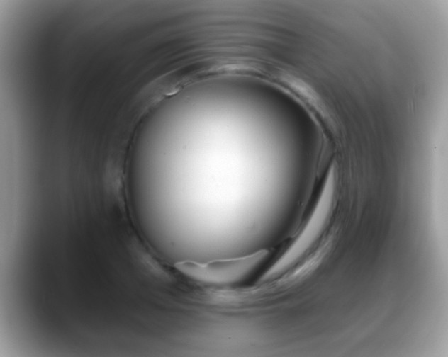 X0000088630985200706011141