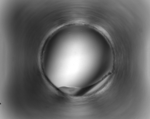 X0000088630989200706011141