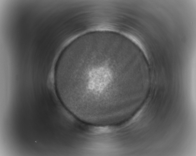 X0000088630990200706011141