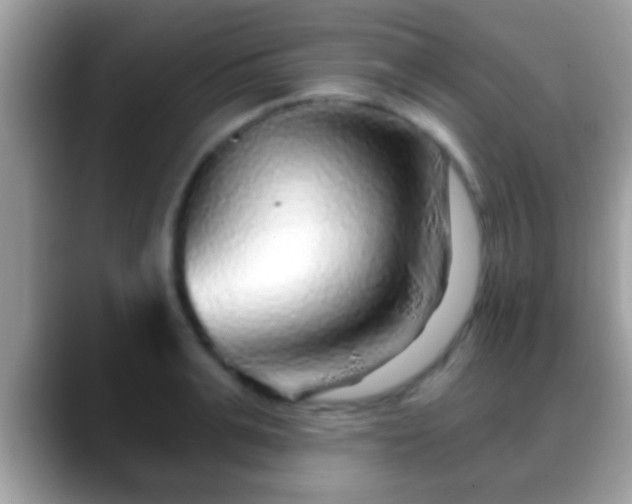 X0000088630991200706011141