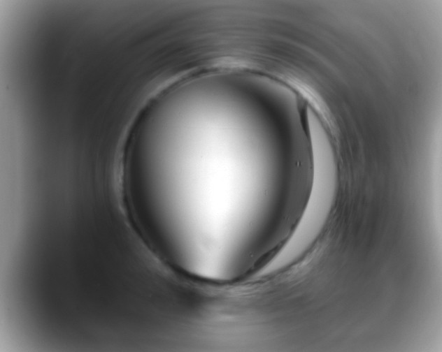 X0000088630992200706011141