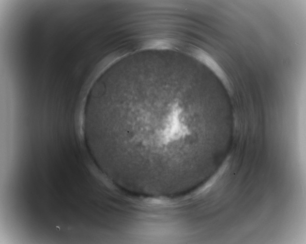 X0000088630994200706011141