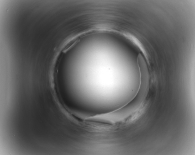 X0000088630997200706011141