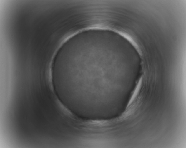 X0000088630998200706011141