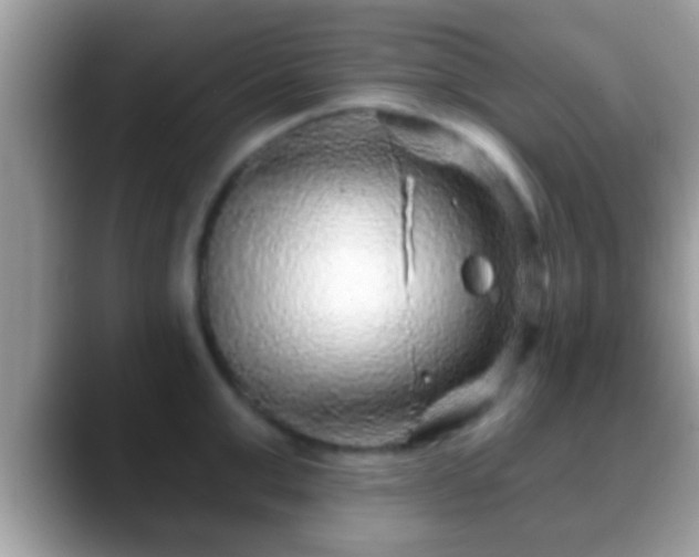 X0000088630999200706011141