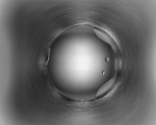 X0000088631001200706011141