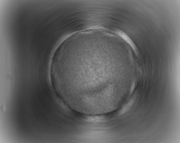 X0000088631002200706011141