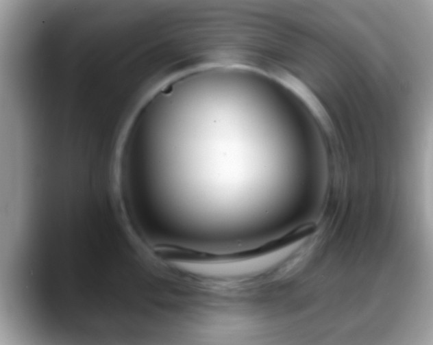 X0000088631004200706011141