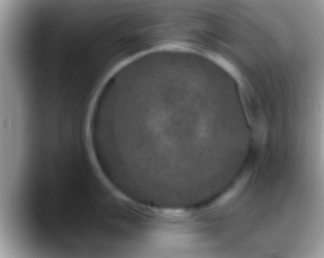 X0000088631007200706011141