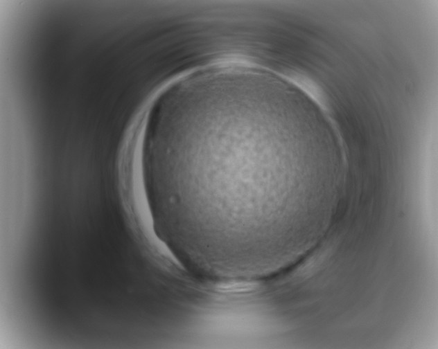 X0000088631008200706011141