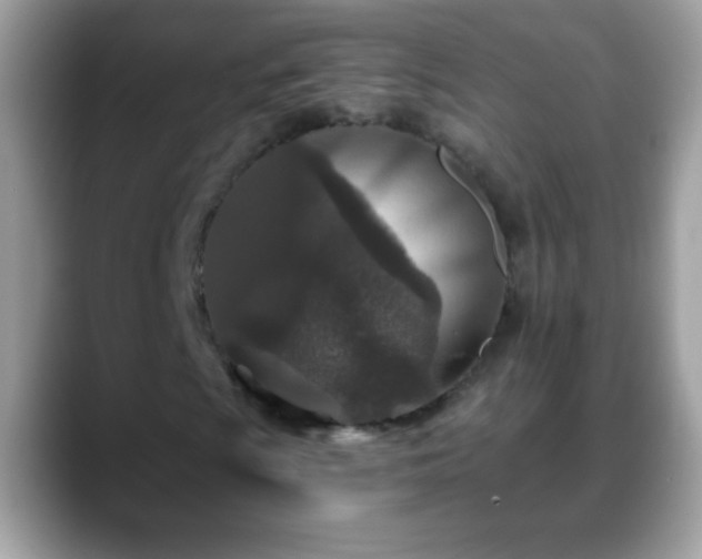 X0000088631009200706011141