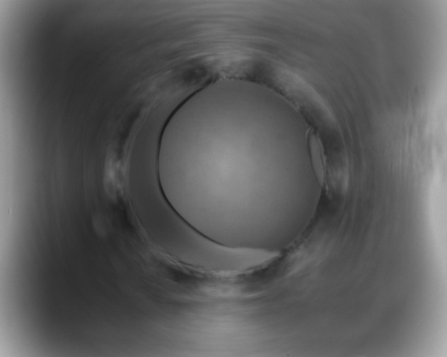 X0000088631010200706011141