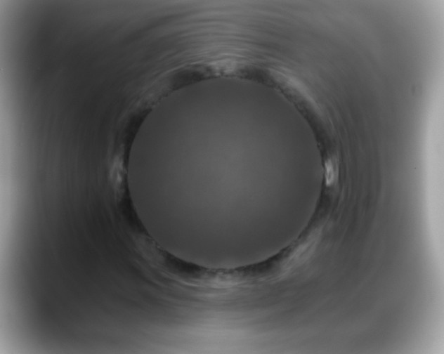 X0000088631011200706011141