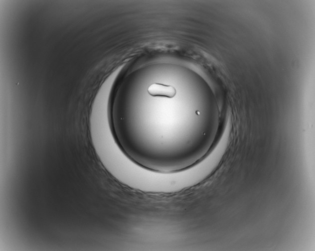 X0000088631014200706011141