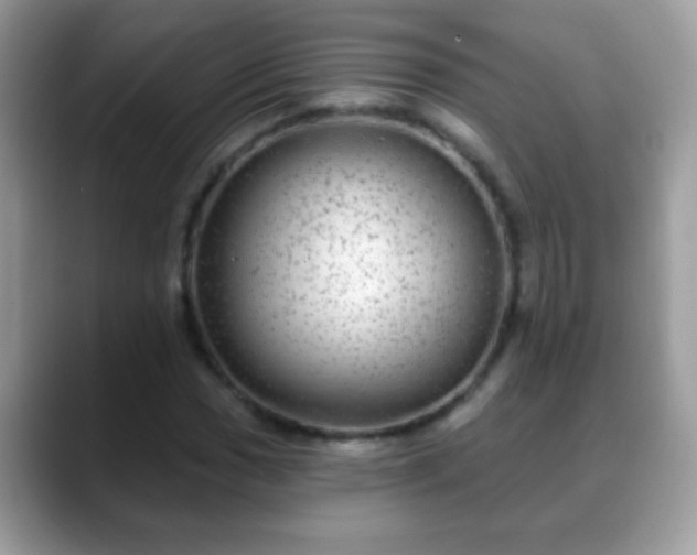 X0000088631017200706011141