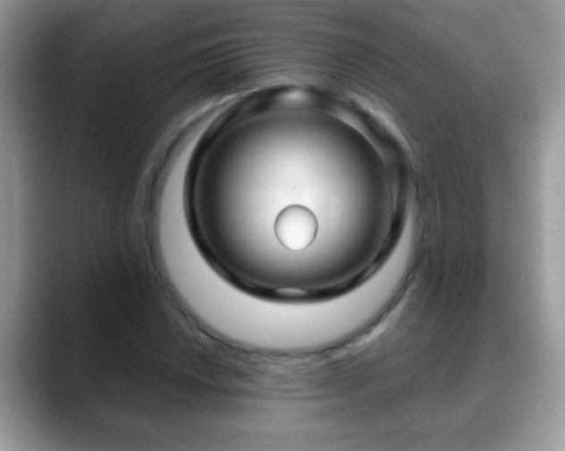 X0000088631018200706011141