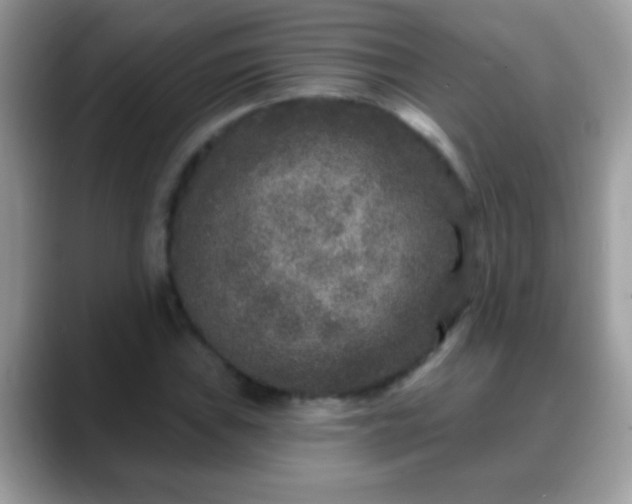 X0000088631019200706011141