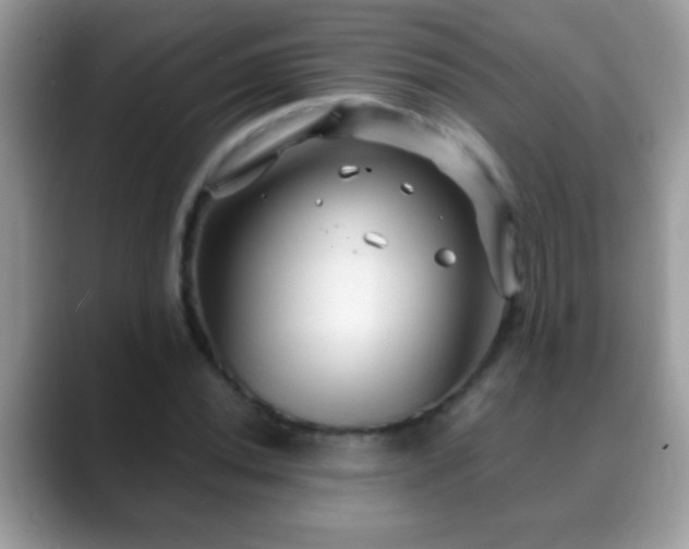 X0000088631020200706011141