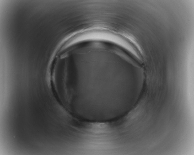 X0000088631024200706011141