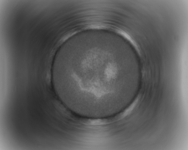 X0000088631025200706011141