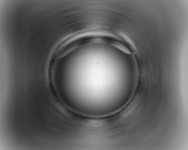 X0000088631026200706011141