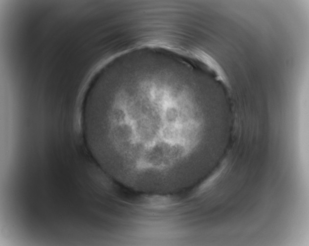 X0000088631027200706011141