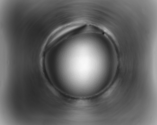 X0000088631029200706011141