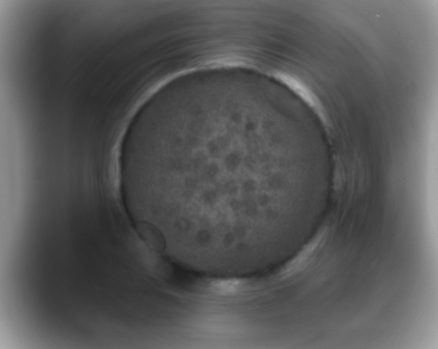 X0000088631031200706011141