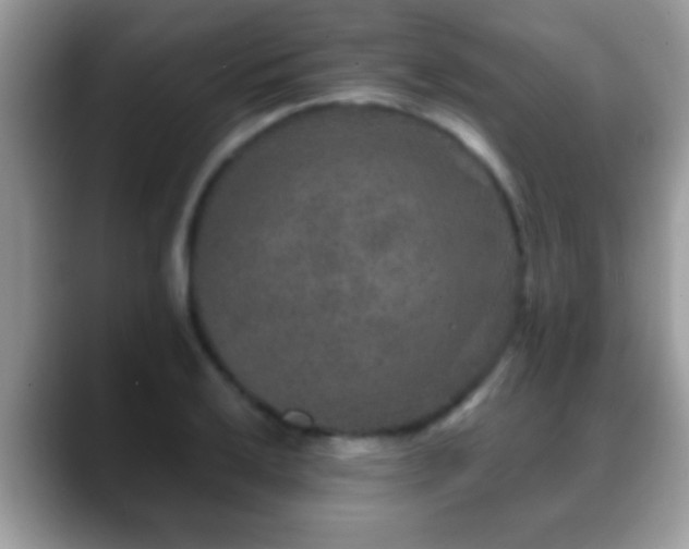 X0000088631032200706011141