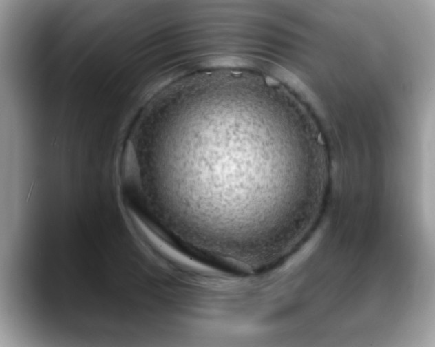 X0000088631033200706011141