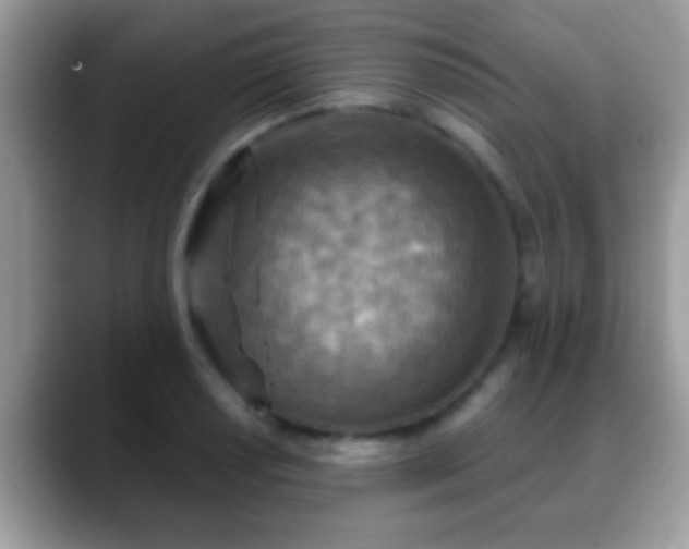 X0000088631034200706011141