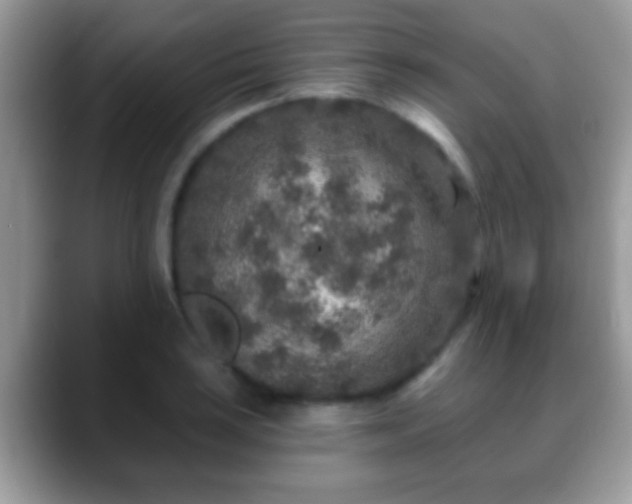 X0000088631035200706011141