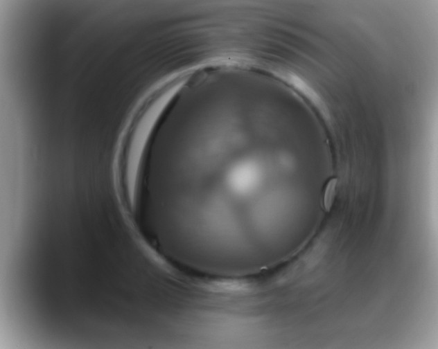 X0000088631037200706011141