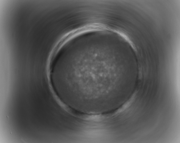 X0000088631038200706011141