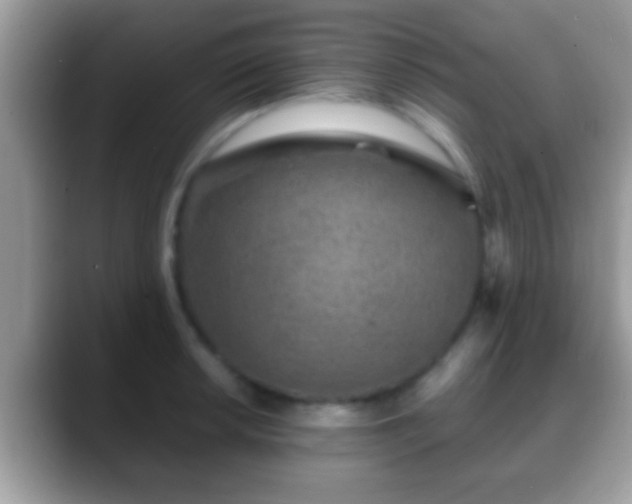 X0000088631042200706011141