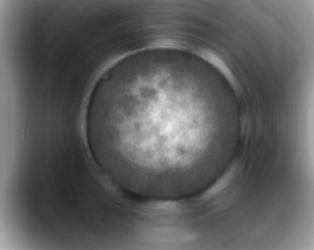 X0000088631043200706011141