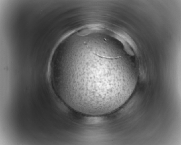 X0000088631044200706011141