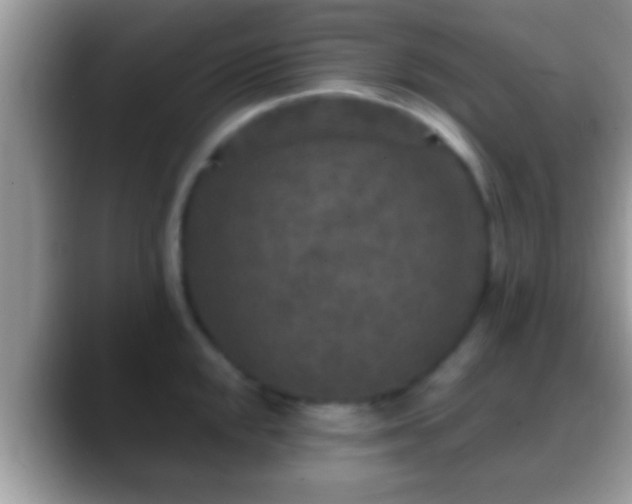 X0000088631048200706011141