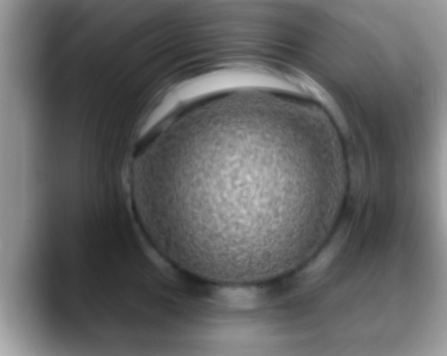 X0000088631049200706011141