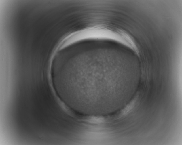 X0000088631050200706011141