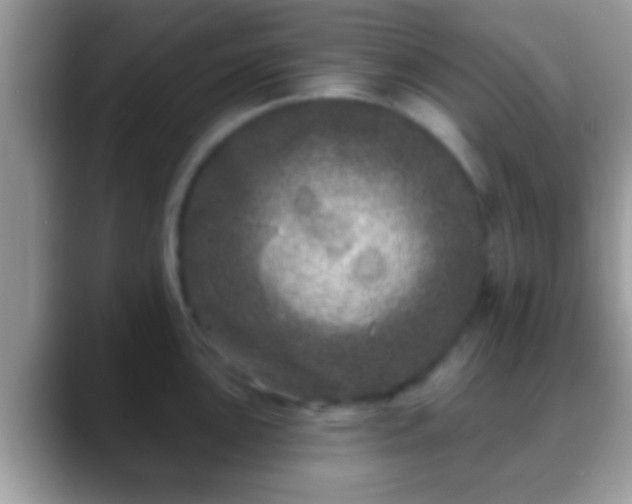 X0000088631051200706011141