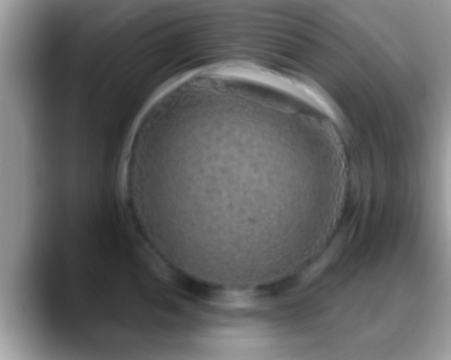 X0000088631052200706011141