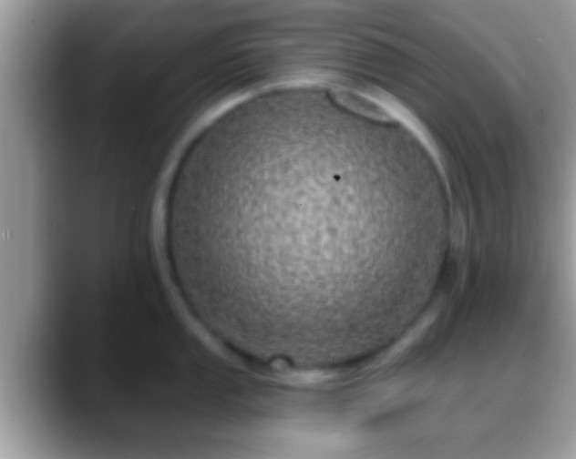 X0000088631053200706011141