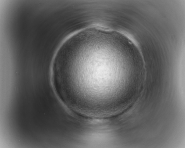 X0000088631056200706011141