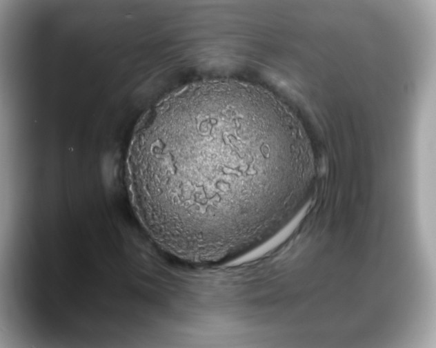 X0000088631059200706011140