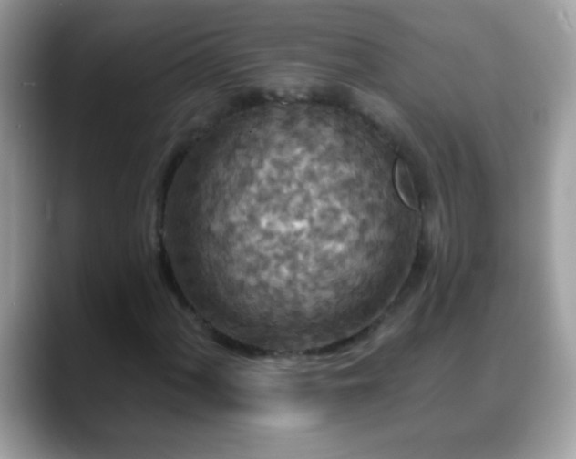 X0000088631060200706011140