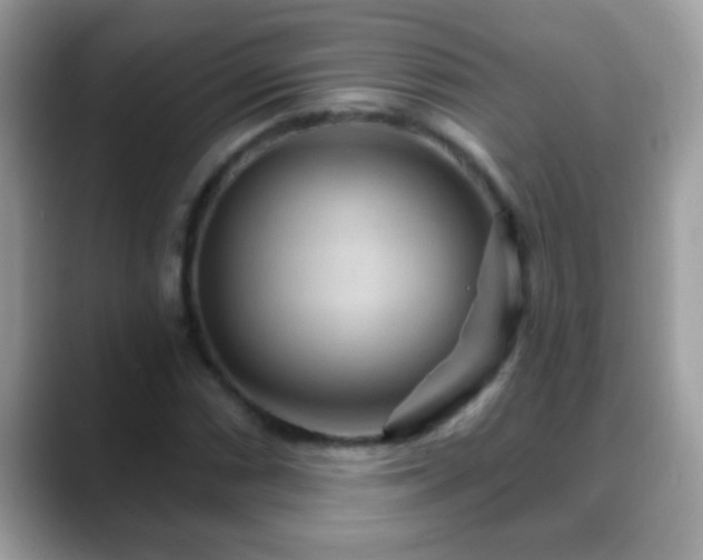 X0000088631066200706011140