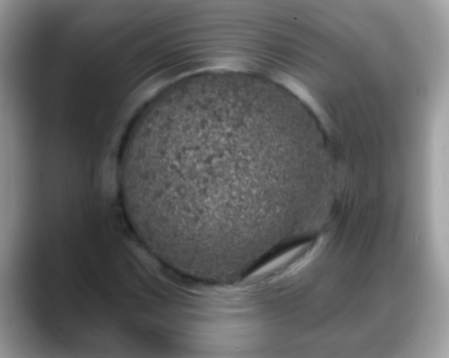 X0000088631067200706011140